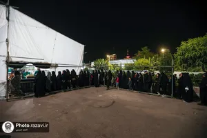 موکب کفشداران افتخاری امام رضا علیه&zwnj;السلام در دهه آخر صفر