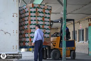ارسال ١۵٠هزار بسته غذایی برای زائران اربعین حسینی
