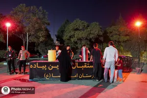 موکب مدارس امام رضا علیه&zwnj;السلام در دهه آخر صفر