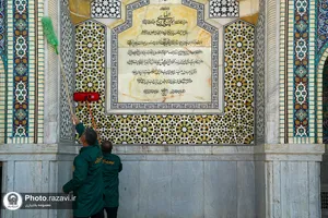 طهور رضوی