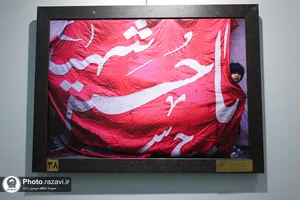 نمایشگاه عکس