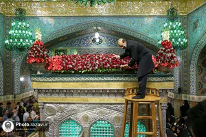 گل&zwnj;آرایی ضریح مطهر رضوی در آستانه ولادت امام رضا(علیه&zwnj;السلام)