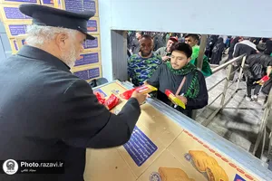 موکب امام رضا علیه&zwnj;السلام در نجف اشرف
