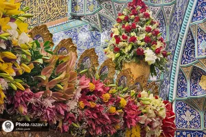 حال و هوای حرم بانوی کرامت در روز ولادت حضرت معصومه(س)