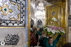 گل&zwnj;آرایی ضریح مطهر رضوی در آستانه ولادت امام رضا علیه&zwnj;السلام