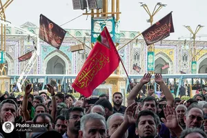 اجتماع عزاداران رضوی در حرم امام رضا علیه&zwnj;السلام