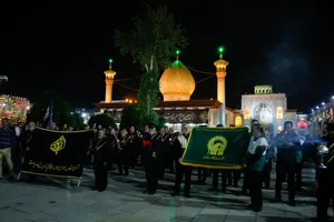 لاله&zwnj;گردانی خادم&zwnj;یاران فارس در سوگ امام رضا (ع) + تصاویر