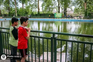 اردوگاه فرهنگی، تفریحی امام رضا علیه&zwnj;السلام