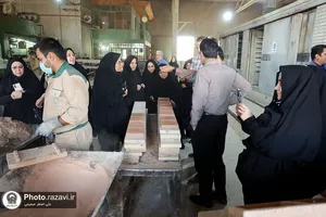 بازدید کارکنان آستان قدس رضوی از شرکت فرش و آرایه&zwnj;های رضوی