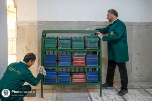 طهور رضوی
