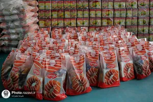 آماده&zwnj;سازی 700 بسته معیشتی در دهه کرامت