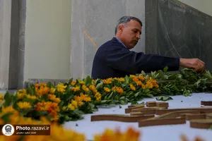 آماده&zwnj;سازی گل&zwnj;آرایی حرم مطهر رضوی در دهه کرامت