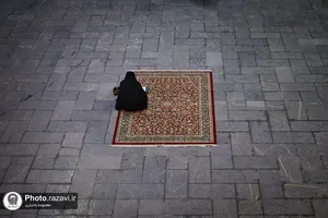  حال و هوای حرم مطهر رضوی در شب شهادت امام هادی علیه السلام 