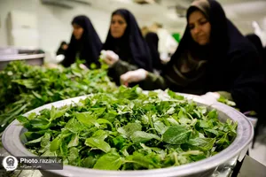 افطاری ماه مبارک رمضان در مهمانسرای حضرت