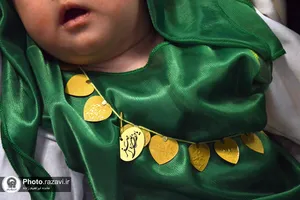 نمایشگاه عکس آرام جان