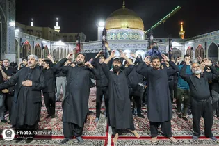 تدارک ویژه بارگاه منور رضوی برای زائران غیرایرانی دهه آخر صفر