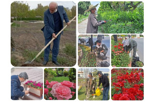 فضای سبز بیمارستان رضوی؛ جایی که گل و آرامش به کمک درمان می‌آیند