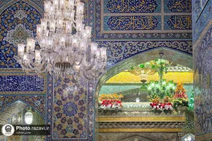 گل&zwnj;آرایی ضریح مطهر رضوی به مناسبت اعیاد شعبانیه
