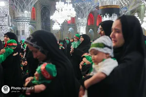 آیین معنوی &laquo;شیرخوارگان حسینی&raquo; در حرم مطهر رضوی