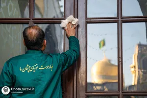 طهور رضوی