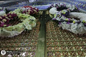 گل&zwnj;آرایی ویژه صحن و سرای رضوی به مناسب ایام دهه کرامت