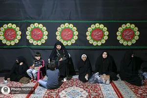 اسکان زائرین حضرت رضا علیه&zwnj;السلام در طرح دارالکرامه - باغ خاتون