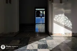 شور و شوق زیارت در حرم امام هشتم
