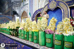 اهدای 8 هزار شاخه گل نرگس به حرم مطهر رضوی