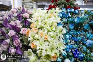 آماده&zwnj;سازی گل&zwnj;های حرم مطهر رضوی در دهه کرامت