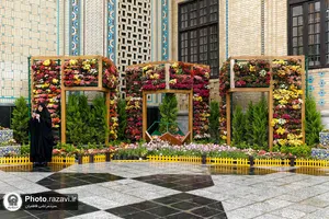 حال و هوای حرم مطهر رضوی در ایام میلاد حضرت معصومه سلام الله علیها