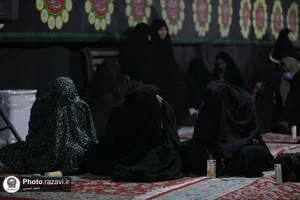 اسکان زائرین حضرت رضا علیه&zwnj;السلام در طرح دارالکرامه - باغ خاتون