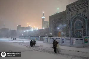 بارش برف پاییزی در حرم مطهر رضوی