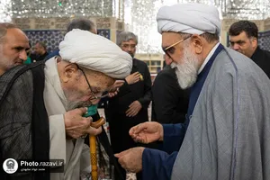غبارروبی ضریح مطهر رضوی در آستانه دهه &laquo;ولایت و امامت&raquo;