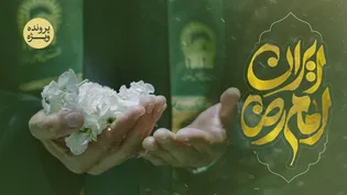 پرونده ویژه ایران امام رضا(ع)