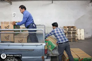 اهدای ۲۰ هزار جلد کتاب توسط تولیت آستان قدس رضوی به مناطق کم&zwnj;برخوردار کشور