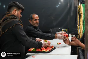 موکب جوانان رضوی