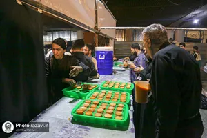 اسکان زائرین حضرت رضا علیه&zwnj;السلام در طرح دارالکرامه - میدان شهدا