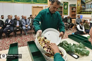 بازدید