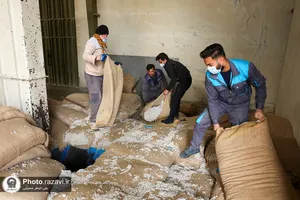 راه&zwnj;اندازی کارخانه کرک&zwnj;زدایی بذر پنبه