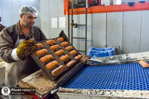 بازدید کارکنان آستان قدس از صنایع غذایی و موسسه بذر و نهال رضوی