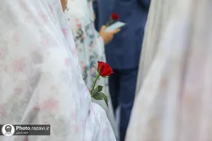 تشرف زوج&zwnj;های جوان دانشگاه امام حسین(علیه&zwnj;السلام) به حرم مطهر رضوی