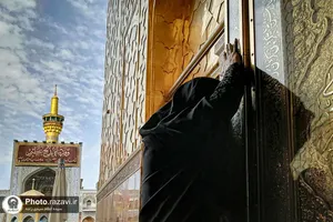 نمایشگاه عکس آرام جان