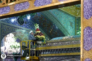 گل&zwnj;آرایی ضریح منور رضوی با گل&zwnj;های نرگس اهدایی از بهبهان
