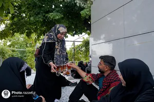 از خاک راه تا آستان رضا علیه&zwnj;السلام