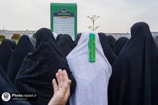 سربند سبز " یا امام رضا"