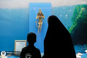 گنجینه آبزیان موزه مرکزی آستان قدس رضوی