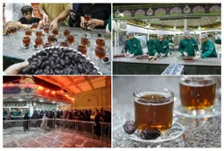 میزبانی کریمانه در حریم رضوی | از استقرار مواکب خدمت‌رسان تا چایخانه‌های شبانه‌روزی در ایام شهادت امام جواد (ع)