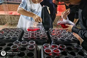 مواکب خادمیاران رضوی ارومیه در دهه آخر صفر