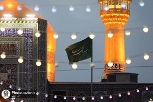 حال و هوای حرم امام رضا علیه&zwnj;السلام در شب میلاد حضرت زینب سلام الله علیها