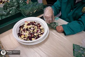 بازدید جمعی از پرستاران از بخش&zwnj;های مختلف حرم امام رضا علیه&zwnj;السلام
